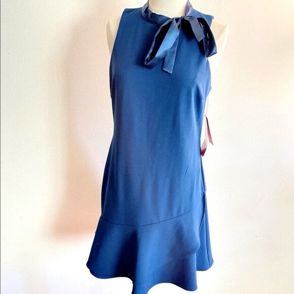 Betsey Johnson tie neck ruffle dress - Picture 3 of 5